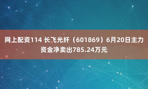 网上配资114 长飞光纤（601869）6月20日主力资金净卖出785.24万元